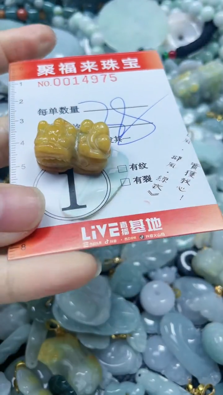 【闪购商品】翡翠颈饰未镶嵌闪购0014975