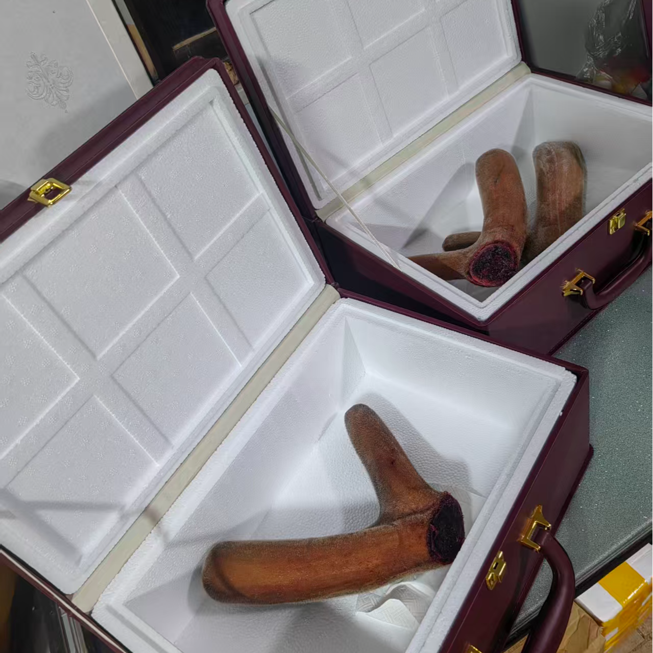 精品新鲜鹿茸可用于泡酒煲汤