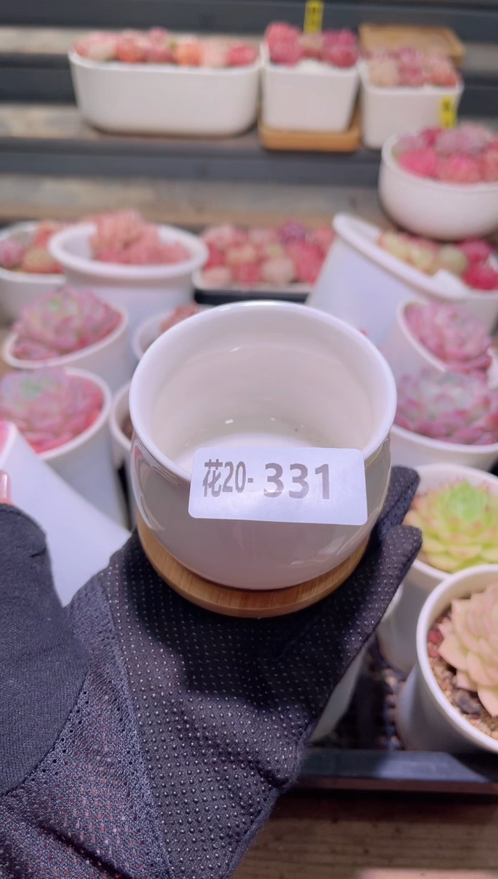 【闪购商品】20-331 裸奔