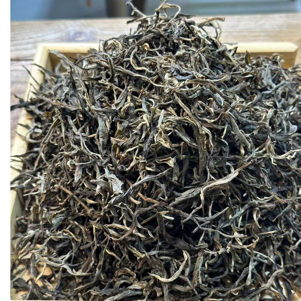 2025年 小户赛 古树  春散茶