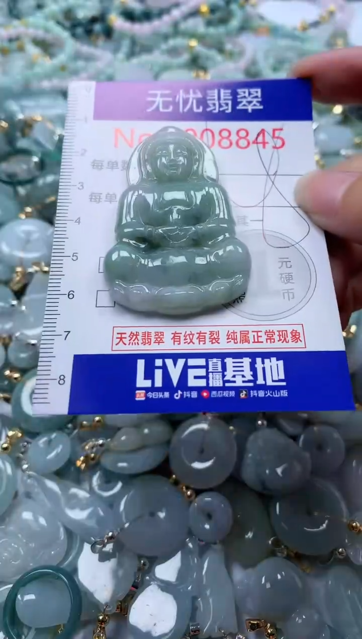 翡翠未镶嵌吊坠(不含链)8845