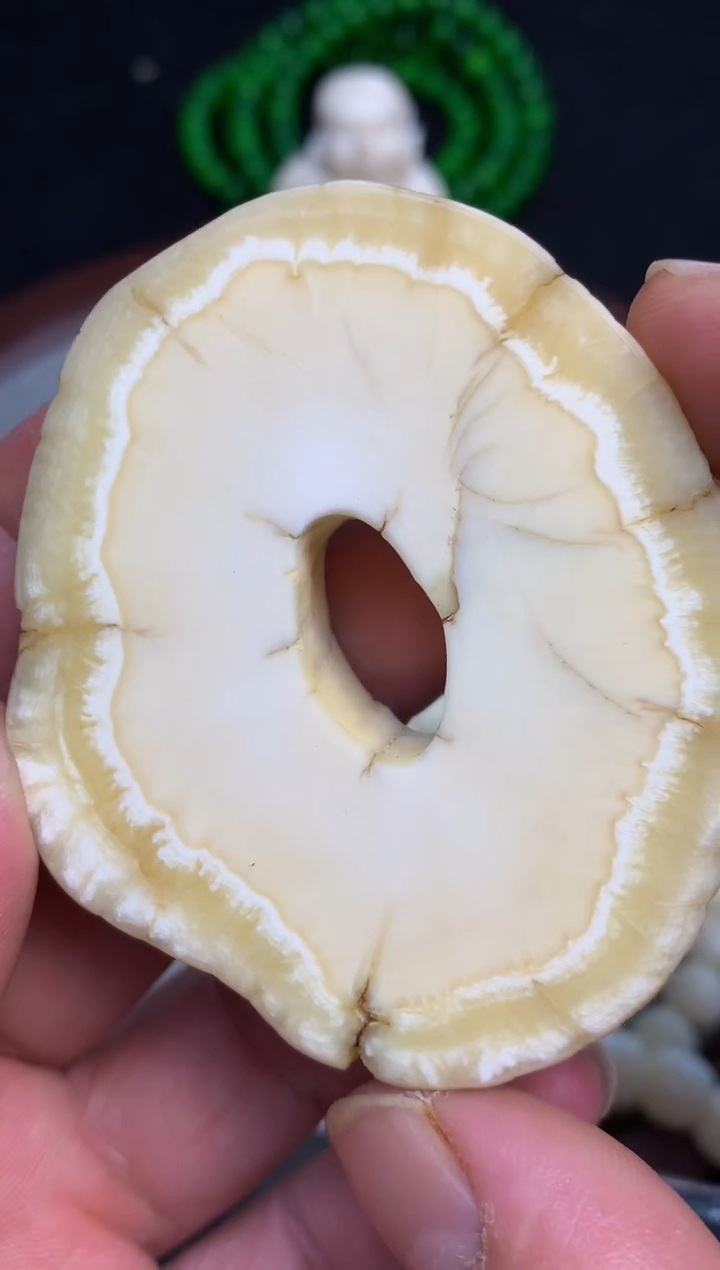 【闪购商品】橄榄核手串/手链猛犸猛犸猛犸猛犸D21