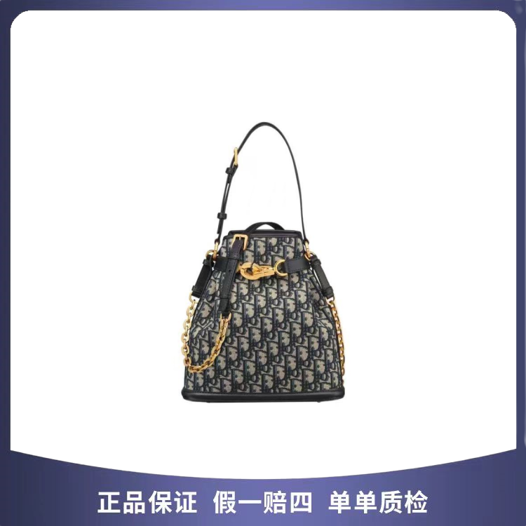 99新 DIOR/迪奥 迪奥 水桶包 0253 23款 无票   56391