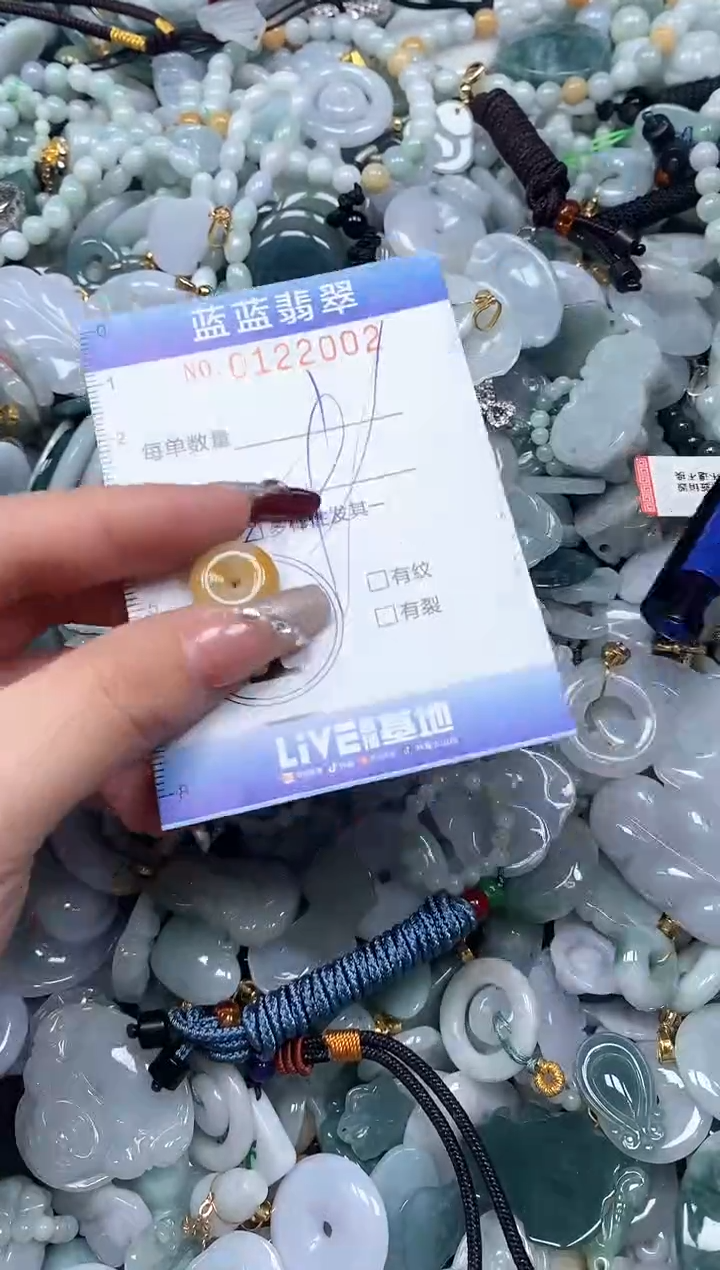 【闪购商品】翡翠颈饰未镶嵌闪购0122002多样性发其一