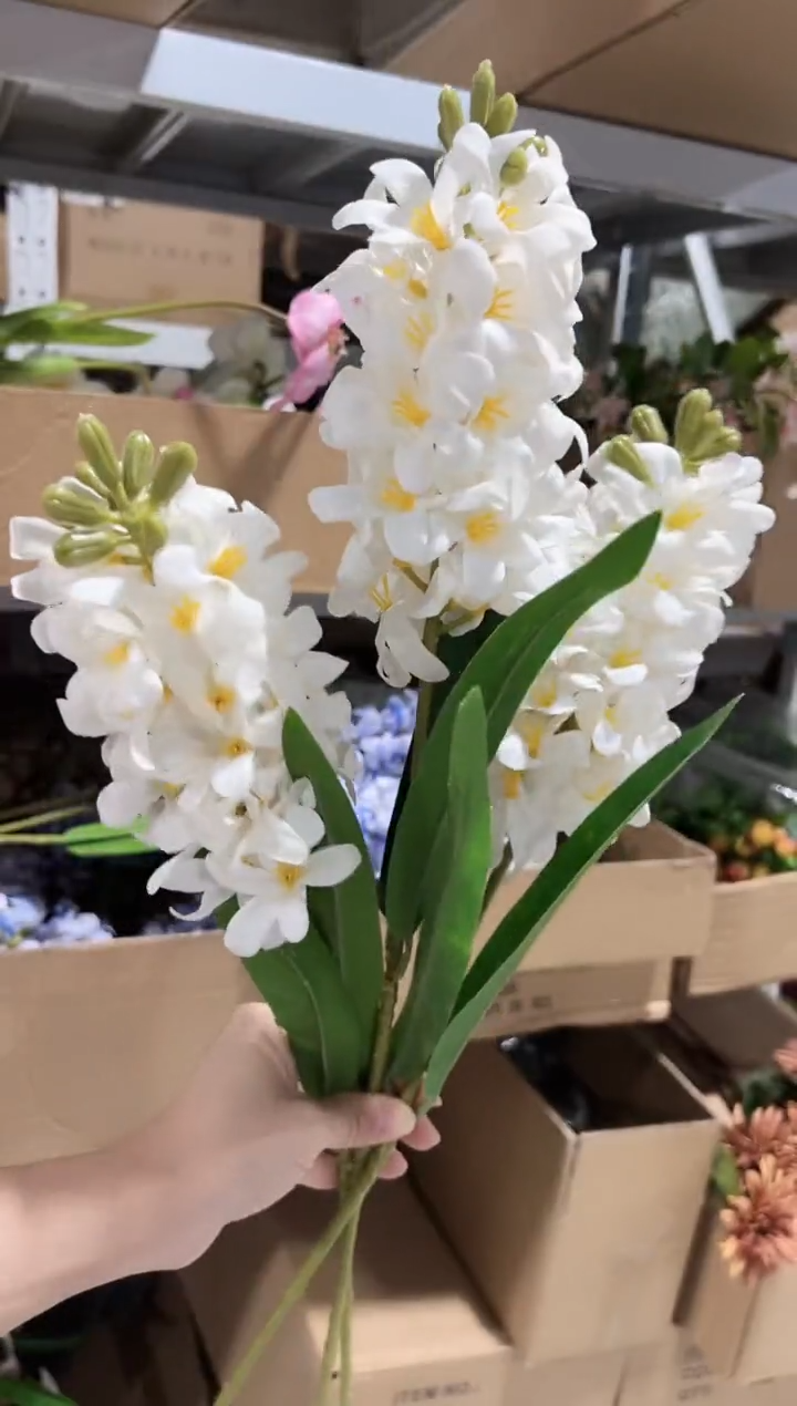 3枝白色手感保湿风信子