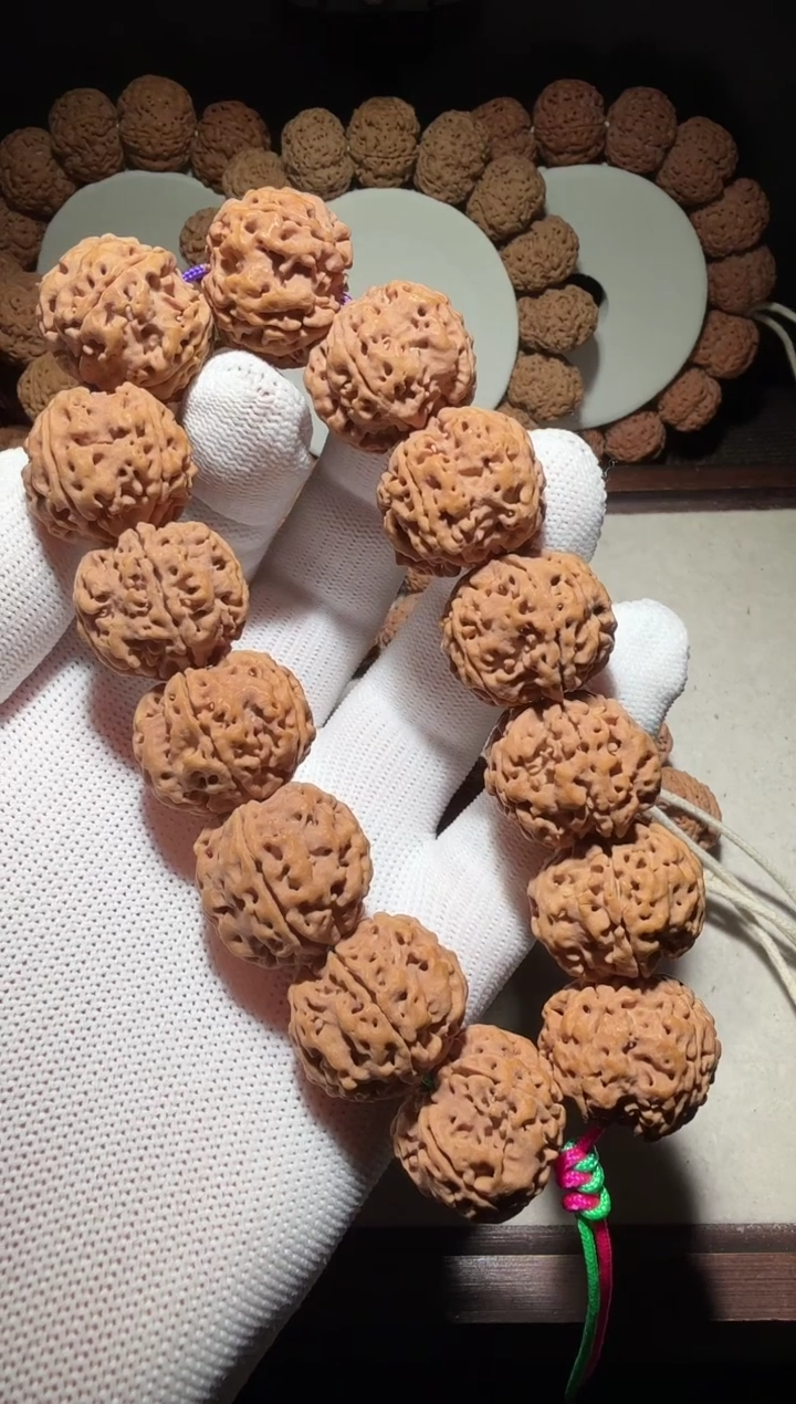 【闪购商品】金刚菩提手串姜黄皮平头五星双龙22