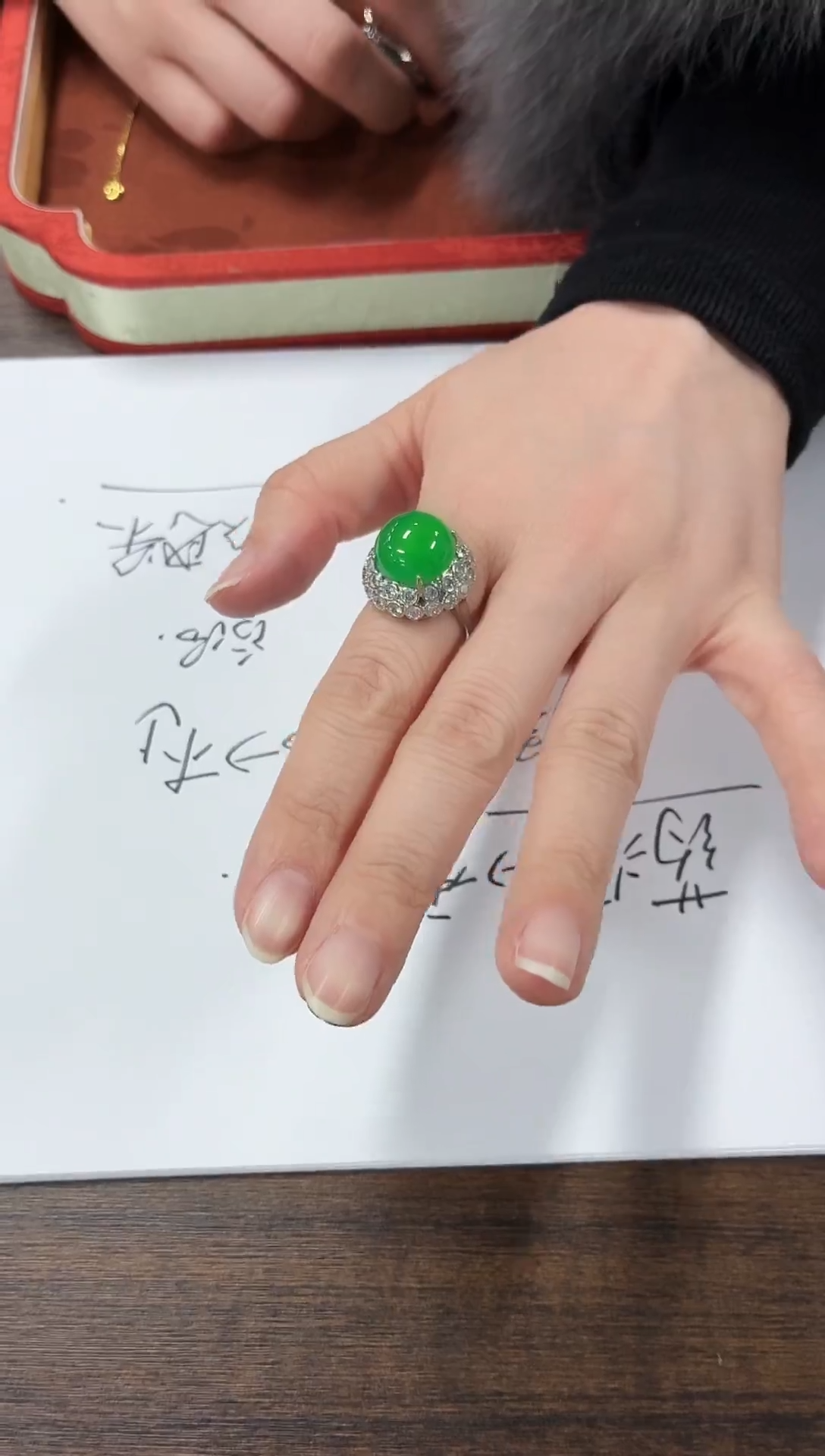 【高定甄选】高端轻奢多样性发货4804