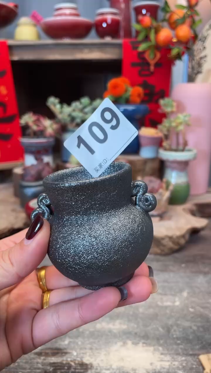 【闪购商品】摆件109知木小芳花盆