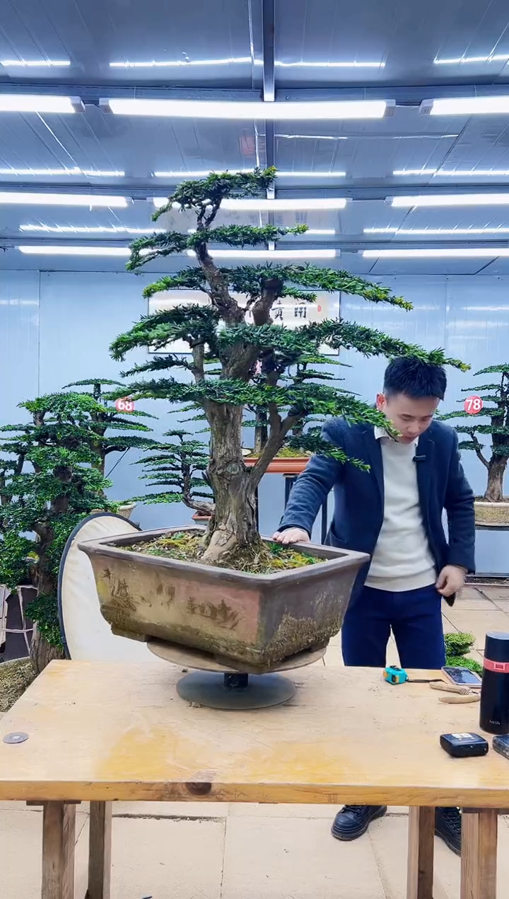 银*0000000000000000000