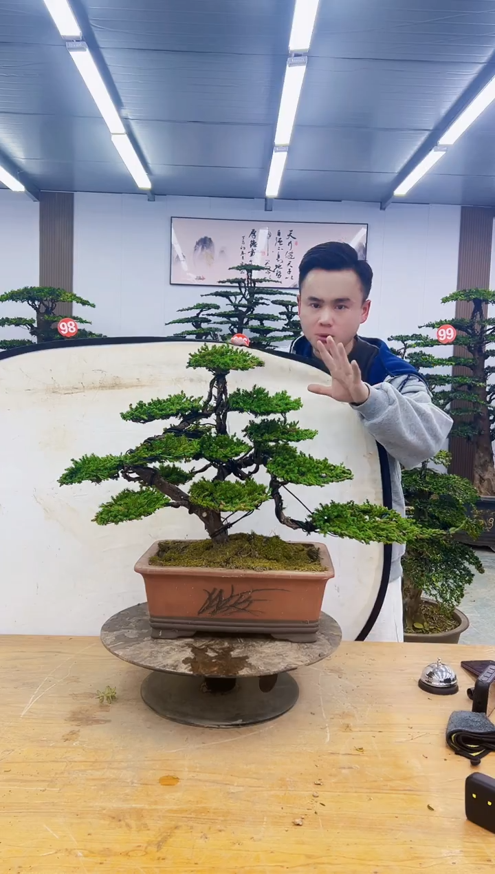 无花朵000000000000