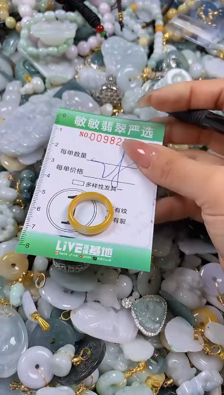 【闪购商品】翡翠颈饰未镶嵌闪购0098252