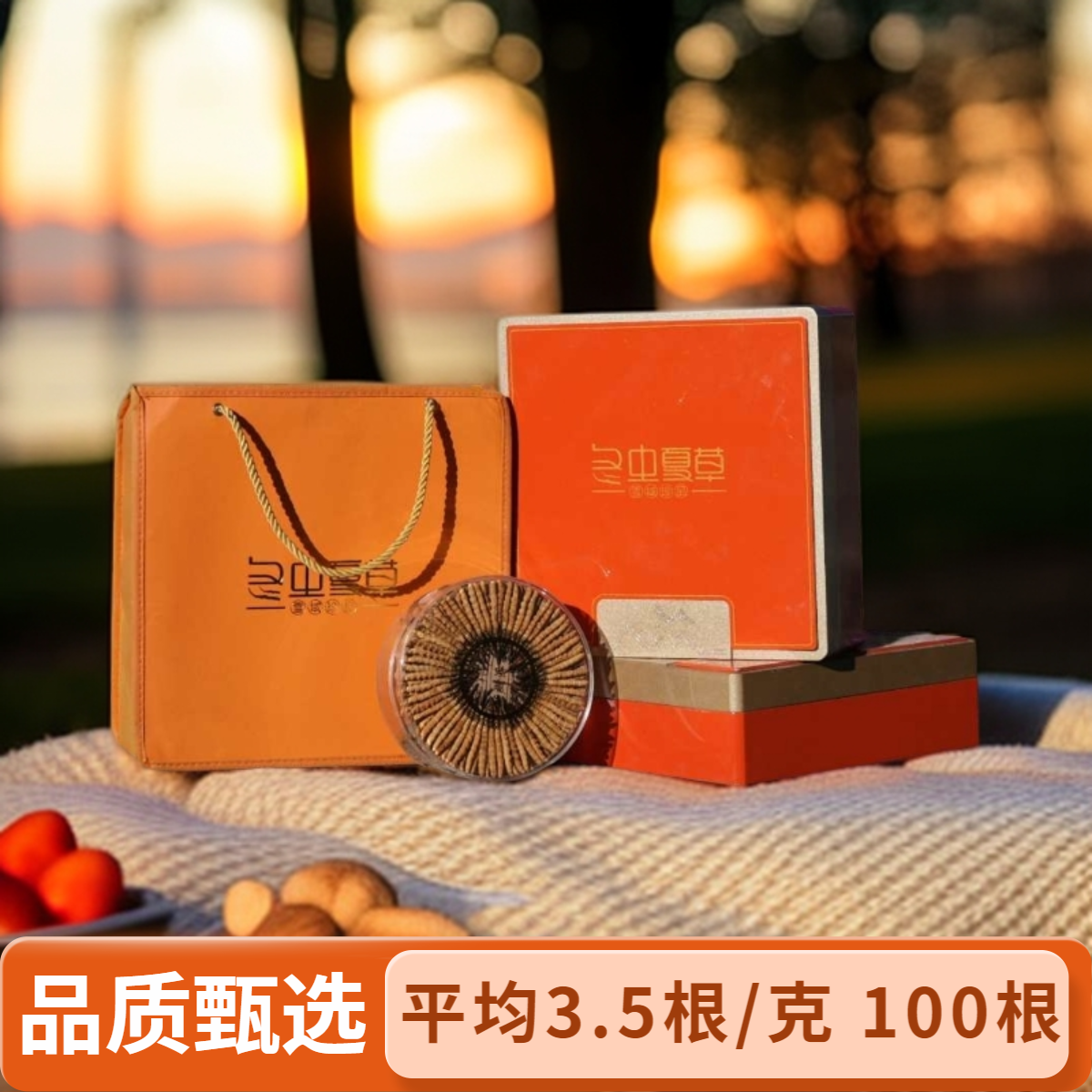 【央吉专属】平均3.5根/克 100根大草2025头茬甄选干虫草回购率高