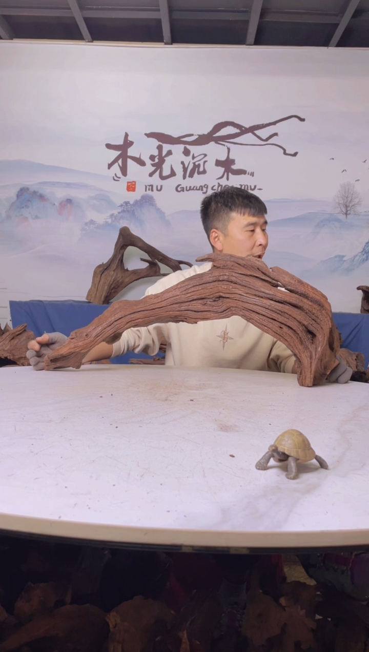 【闪购商品】a870木光沉木木光沉木