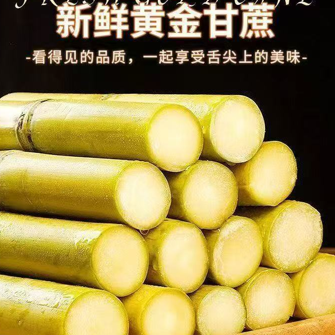 【粉丝福利】云南黄金甘蔗清甜爽口多汁新鲜现砍现发产地直发水果