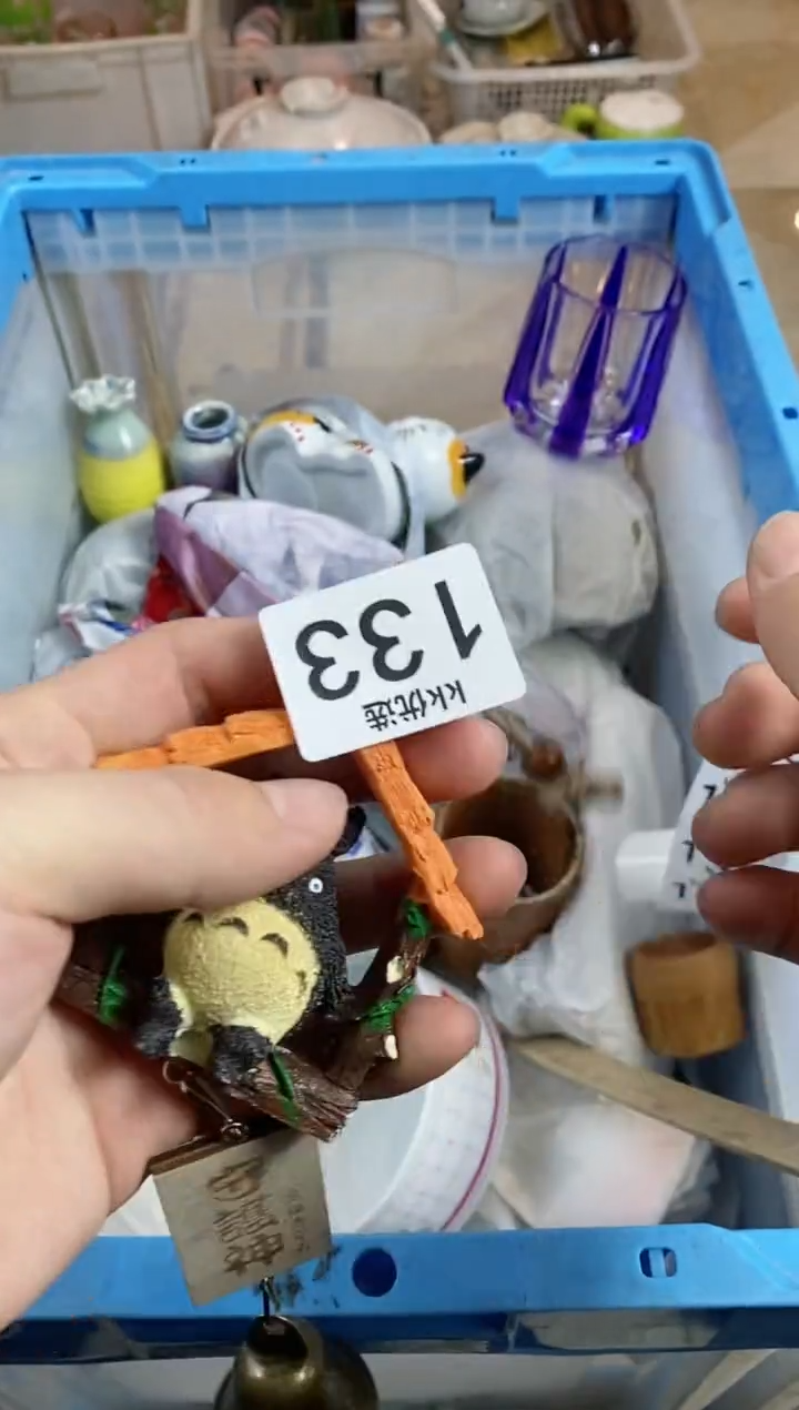 【闪购商品】瓷片133定向 芥菜种子定向 芥菜种子