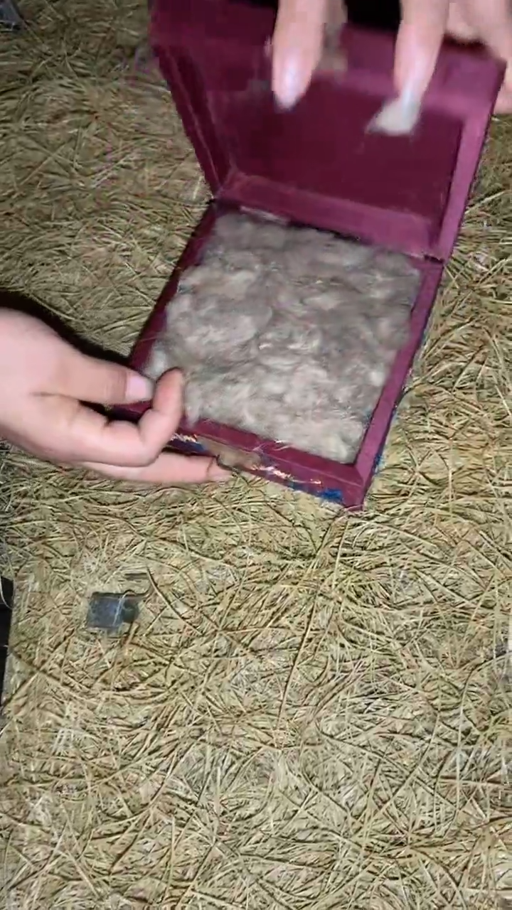 一一一一一一一一福利