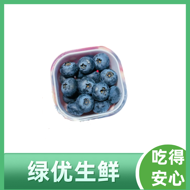 20+迷迭蓝蓝莓杯100g/杯云南省