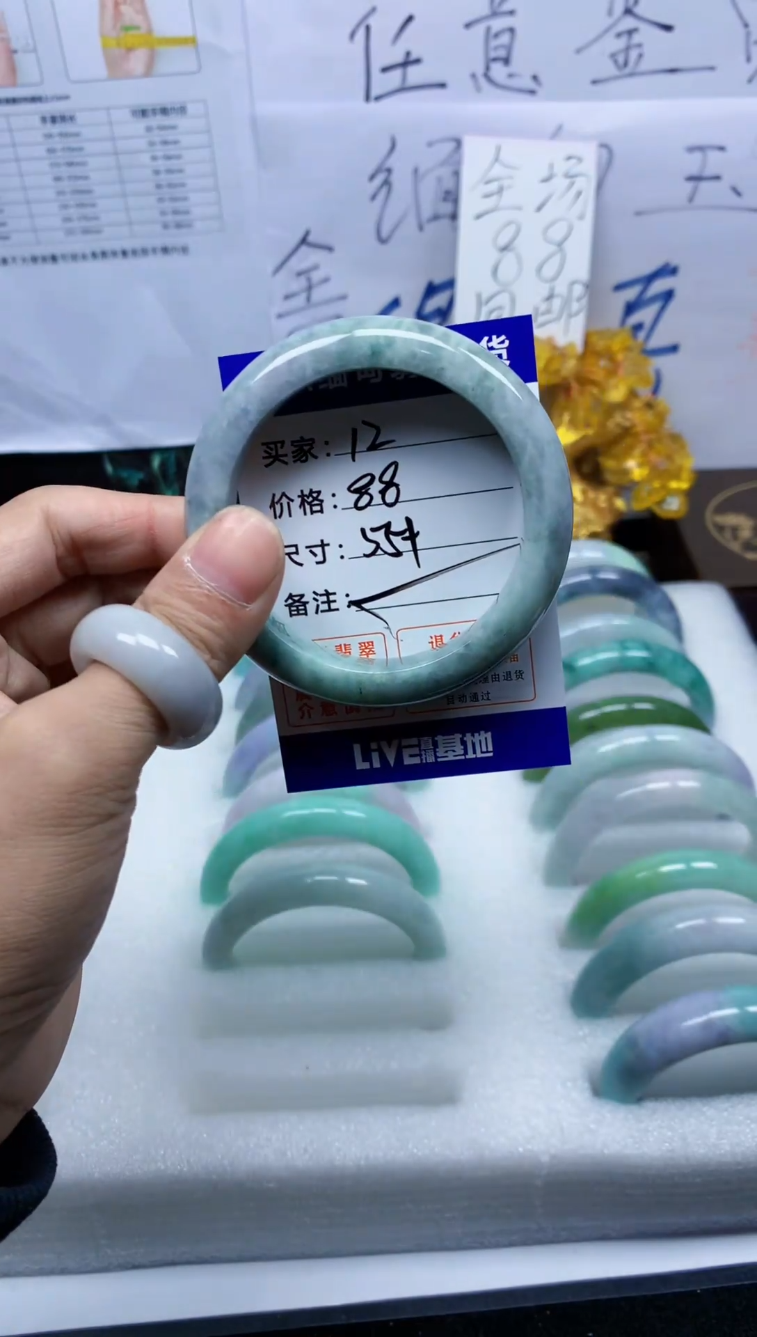 未镶嵌手镯翡翠12