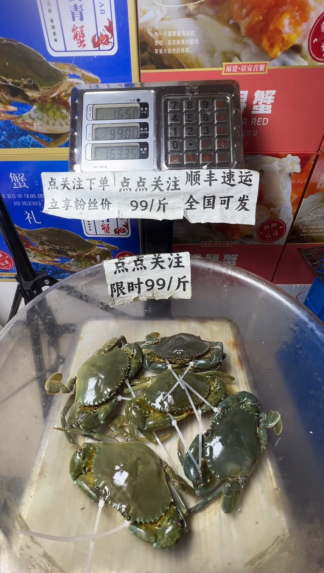 中国大陆福建漳州青蟹