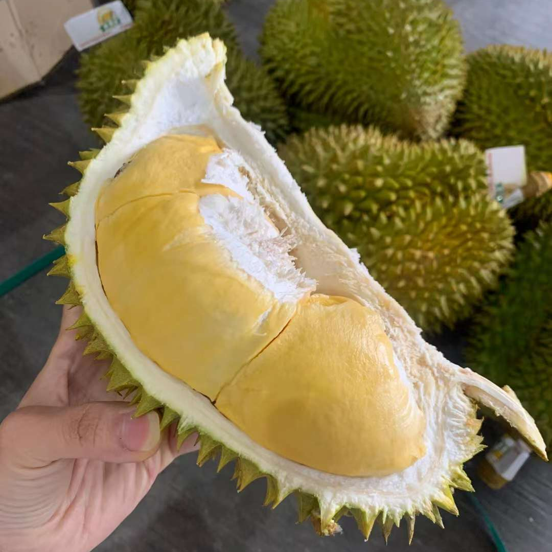 【一物一拍】新鲜榴莲现场挑选2斤起 核小肉多 运输干耗10%左右