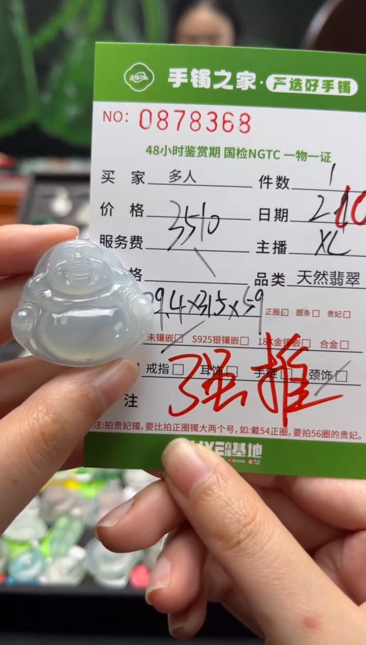 【闪购商品】翡翠颈饰未镶嵌多人