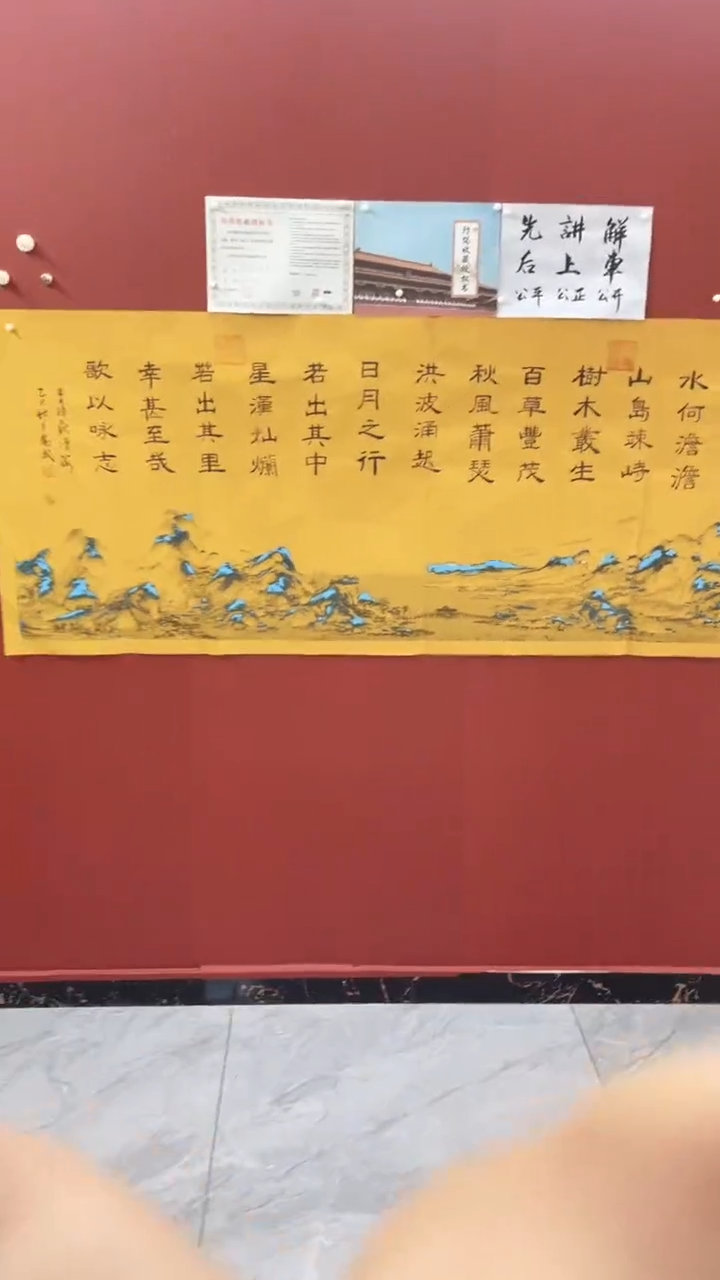 书法观沧海 手绘作品  