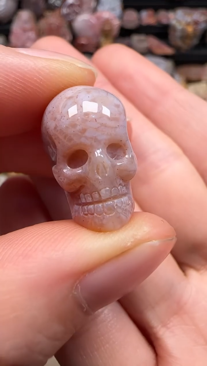 【闪购商品】硅化珊瑚（珊瑚玉）颈饰未镶嵌667