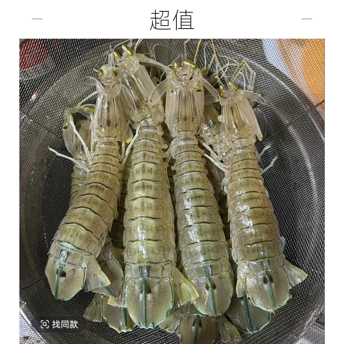 【鲜活】特大号皮皮虾鲜虾大虾爬子一斤装