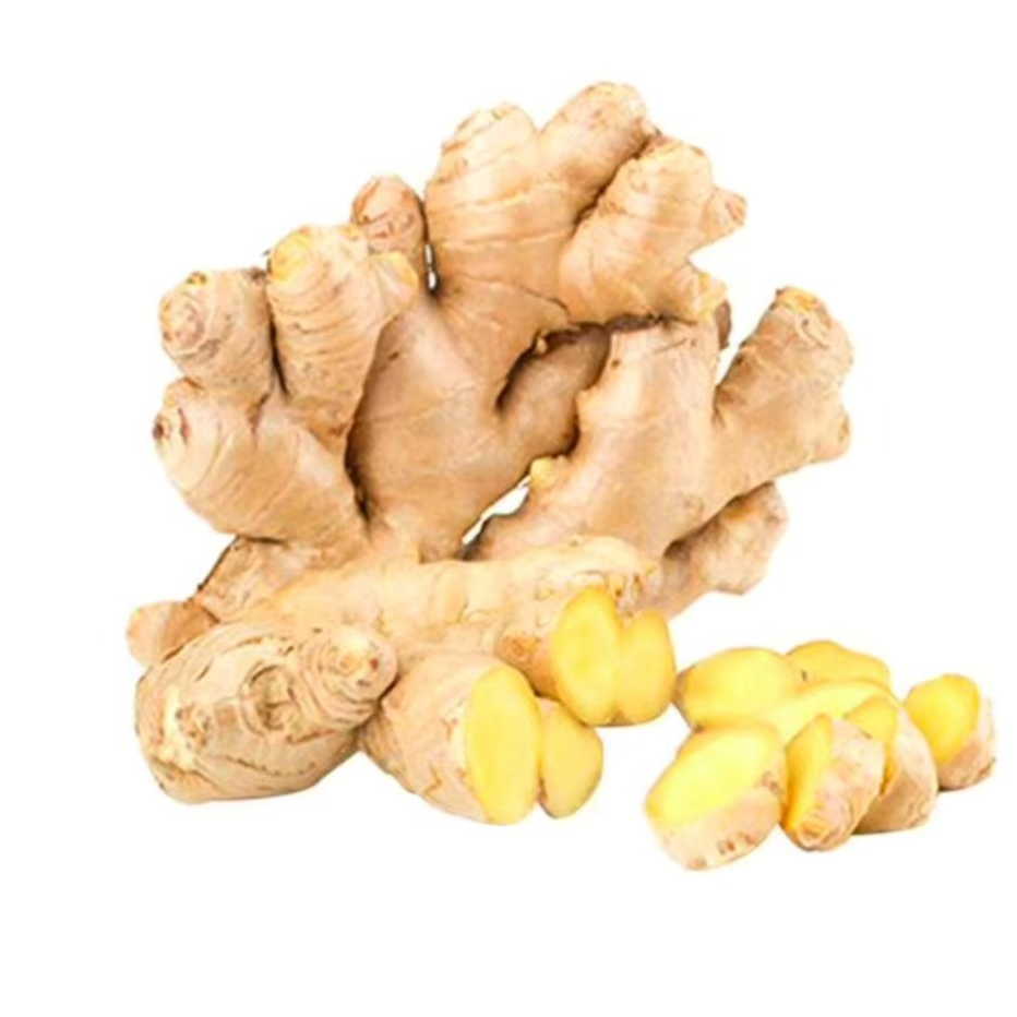 【生姜】新鲜生姜约150g/250g