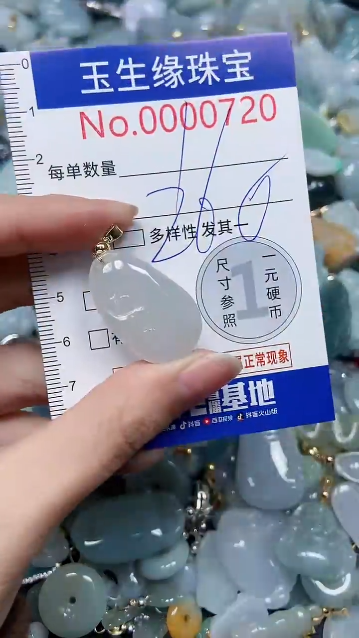 【闪购商品】翡翠颈饰未镶嵌闪购0000720