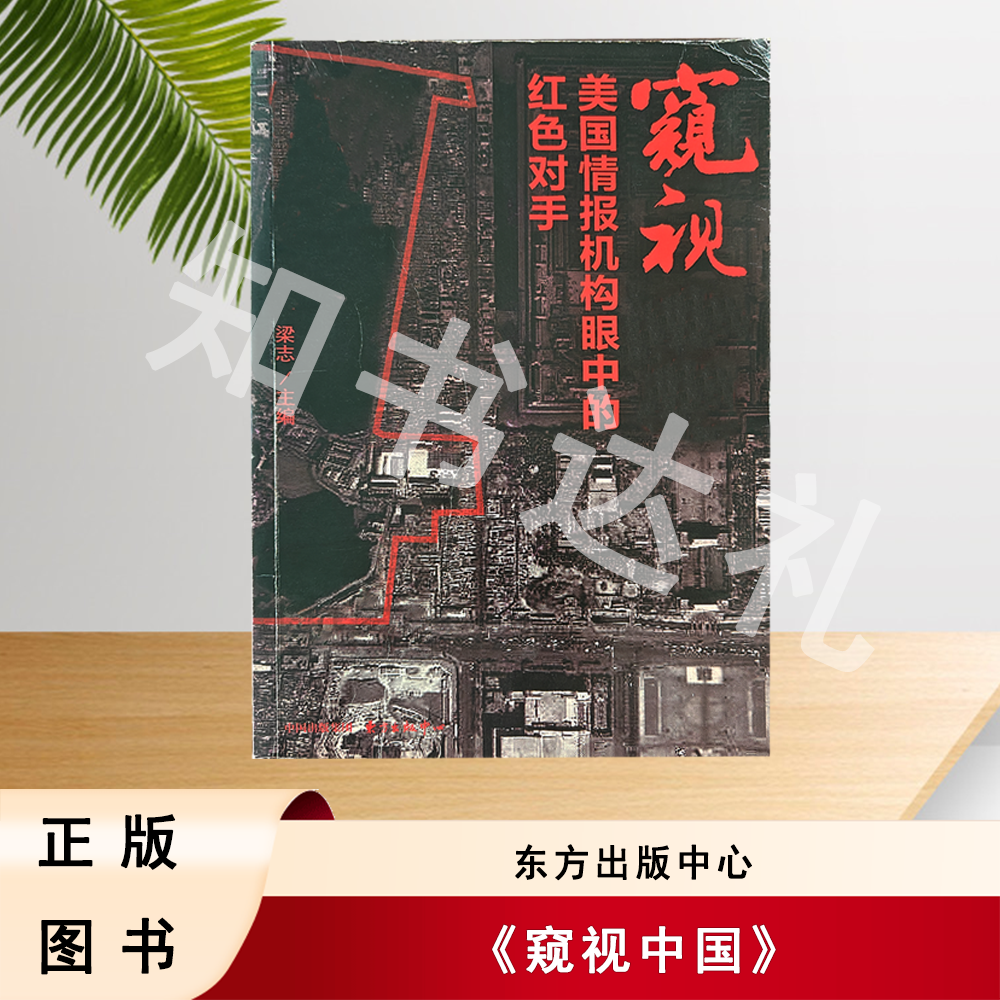 正版玖品 窥视中国 粱志 著 东方出版中心 9787547302767