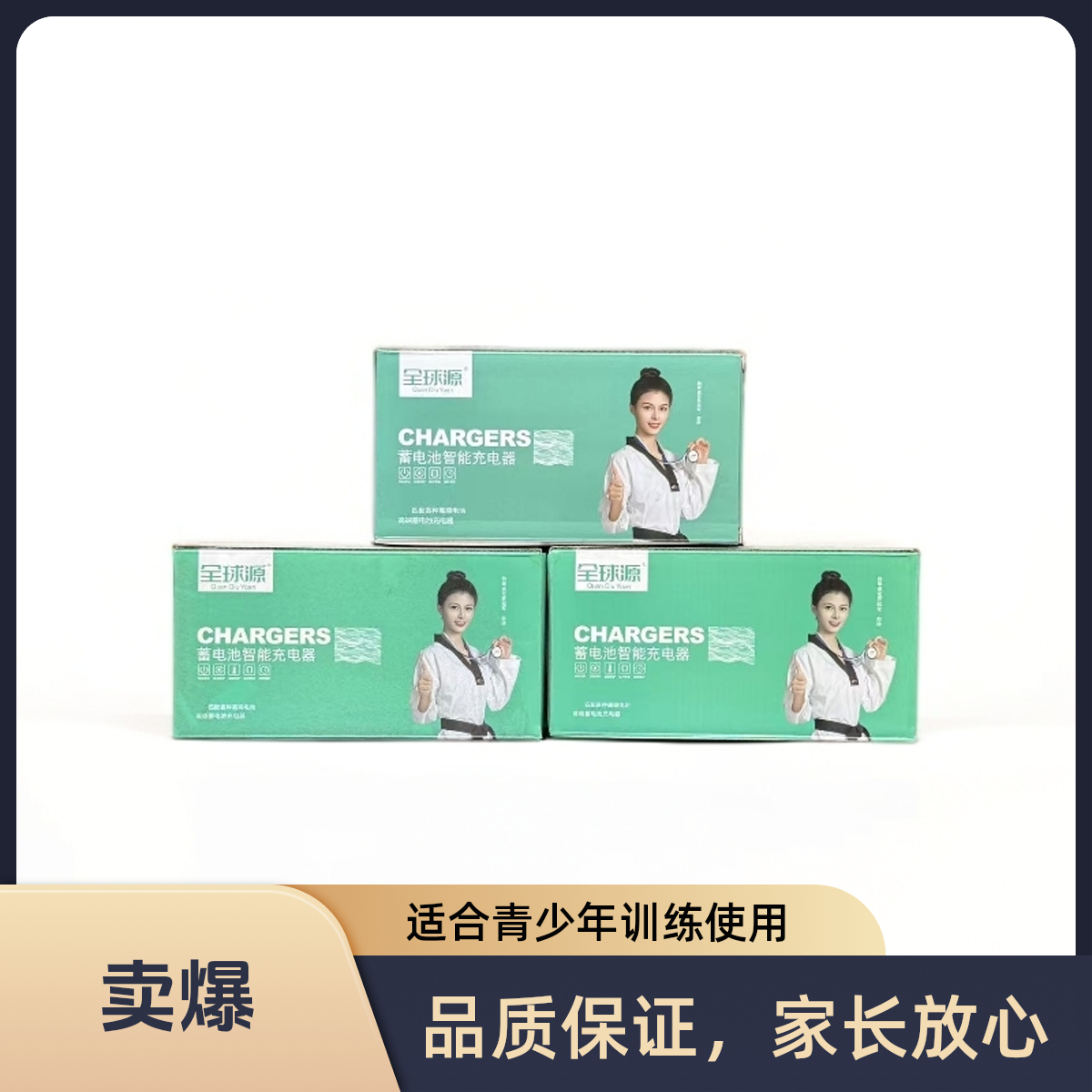 全球源48-20AH电动车充电器