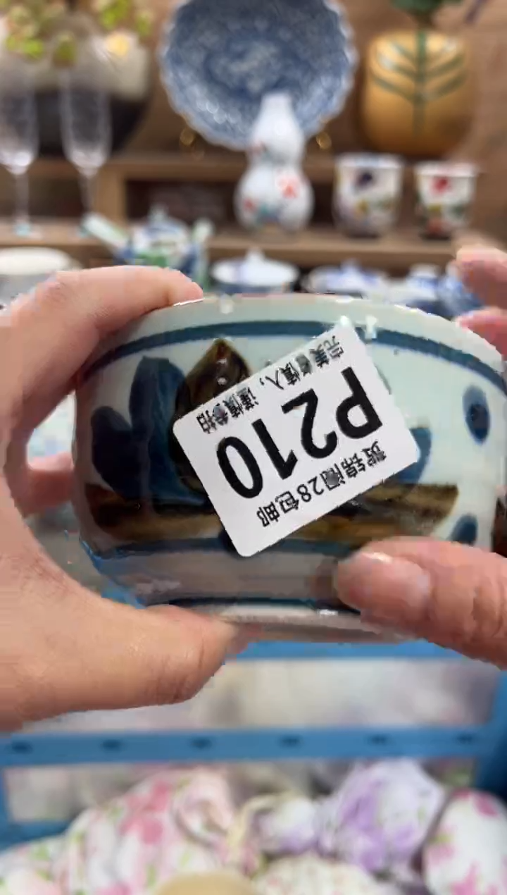 瓷片飞*      P210