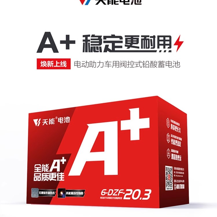 天能石墨烯铅酸电池4820（一年质保/半年换新）