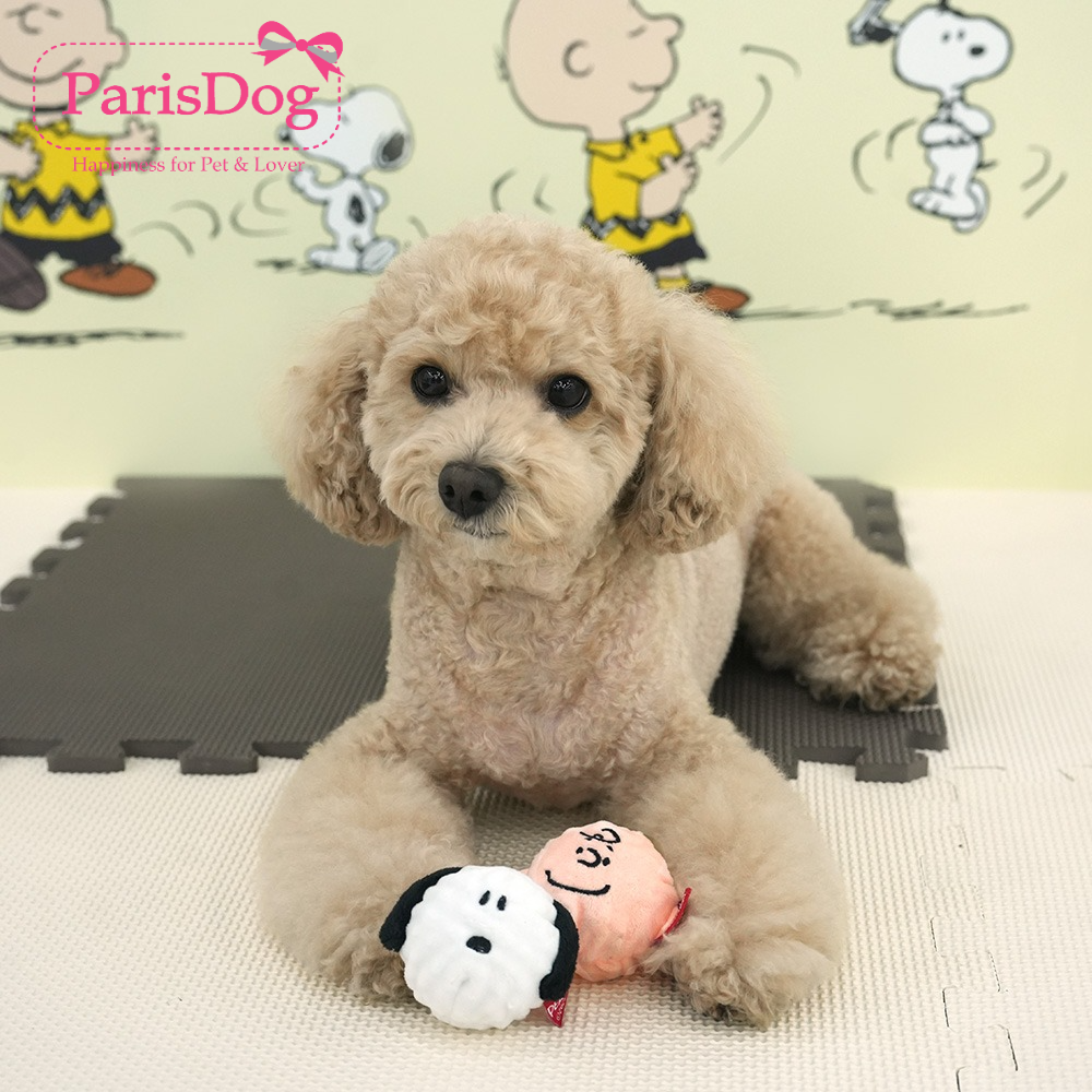 【ParisDog】史努比撕拉球玩具狗狗互动乐趣玩具