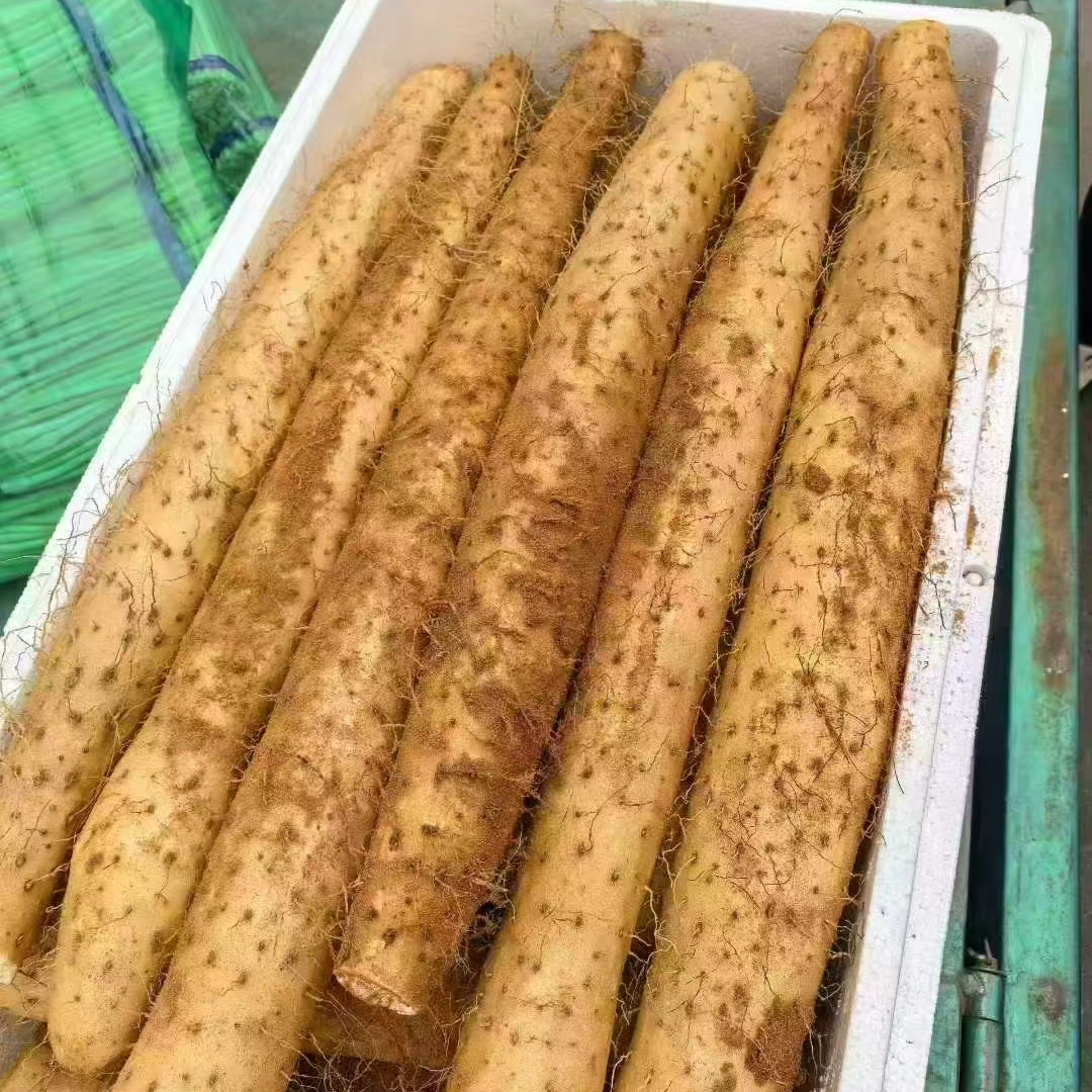 山药  10斤/份 送货到小区门口