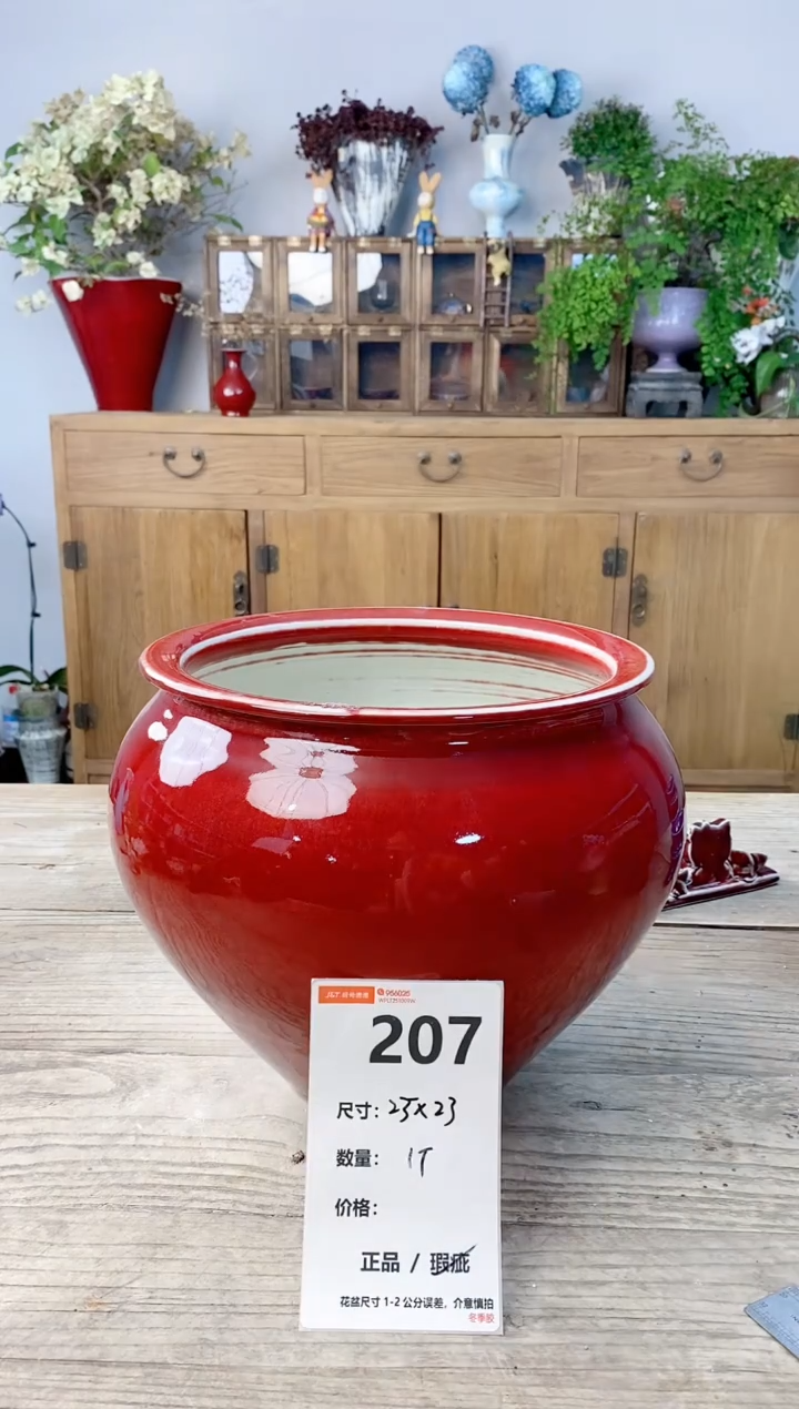 小玩子花盆直播号207