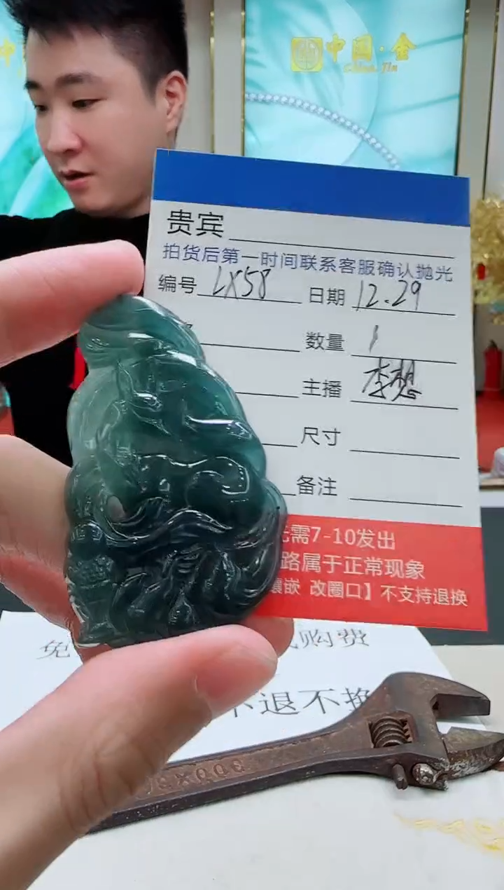 未镶嵌定制翡翠LX58翡翠吊坠-多样性发其一