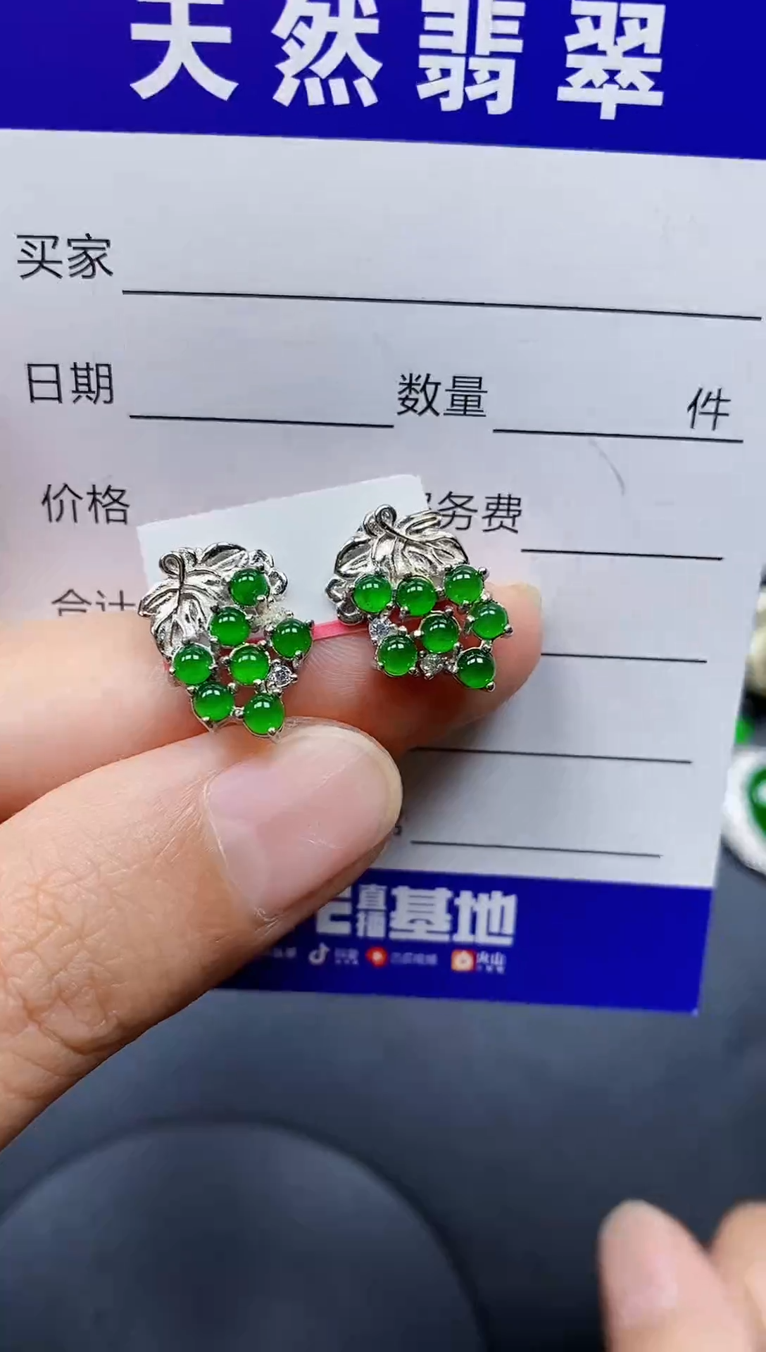 银S925镶嵌翡翠耳饰171