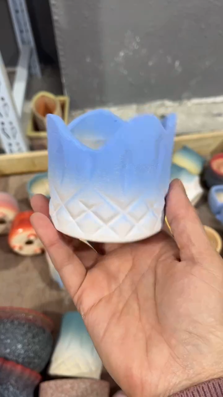 【闪购商品】红陶1111