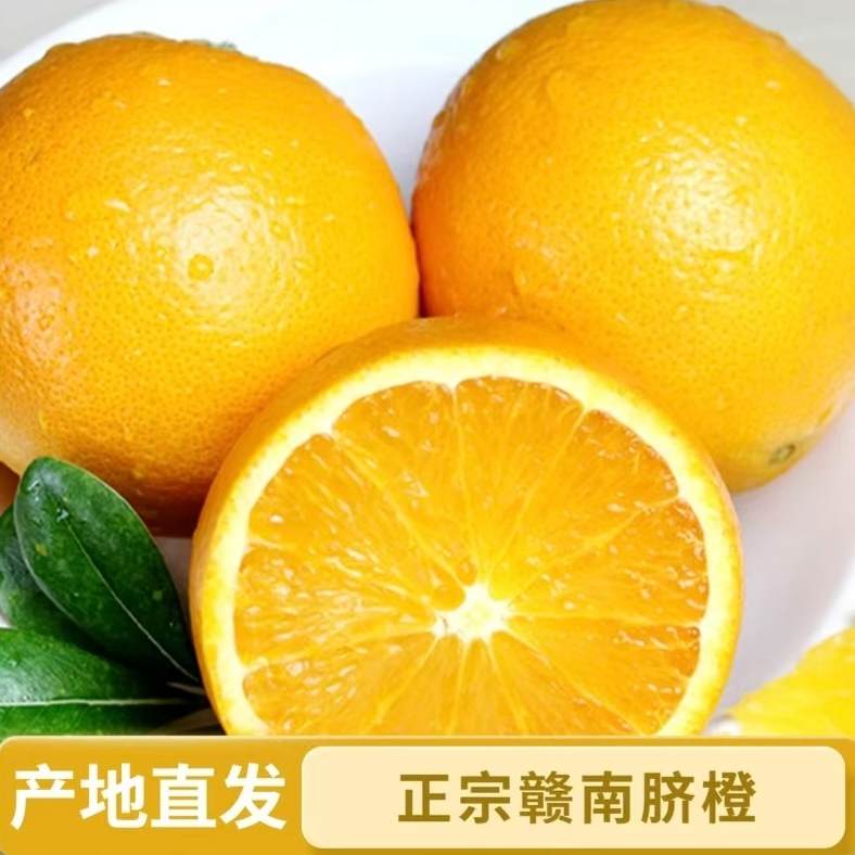 【正宗赣南脐橙】江西赣南脐橙老树橙子寻乌脐橙香甜应季10斤
