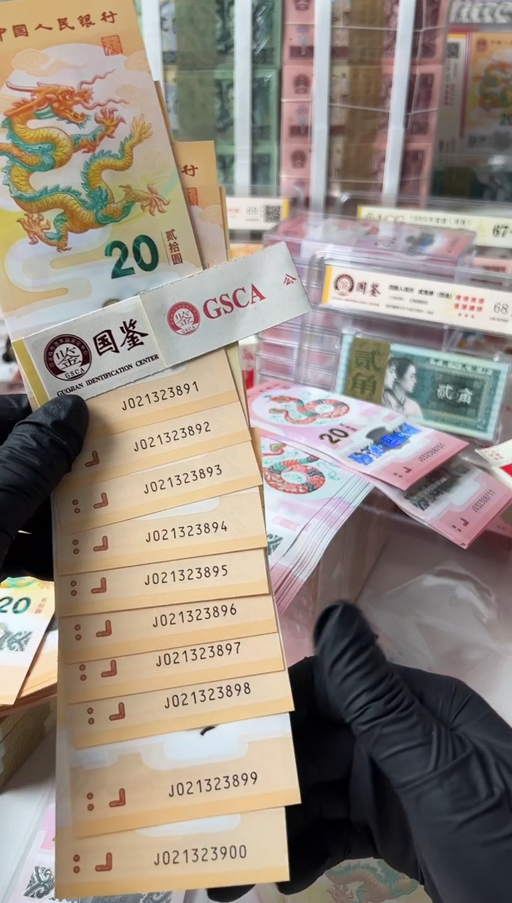 【闪购商品】塑料2024龙钞21323891