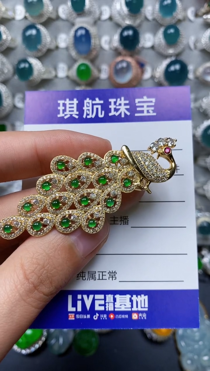 【闪购商品】翡翠颈饰银S925镶嵌0242