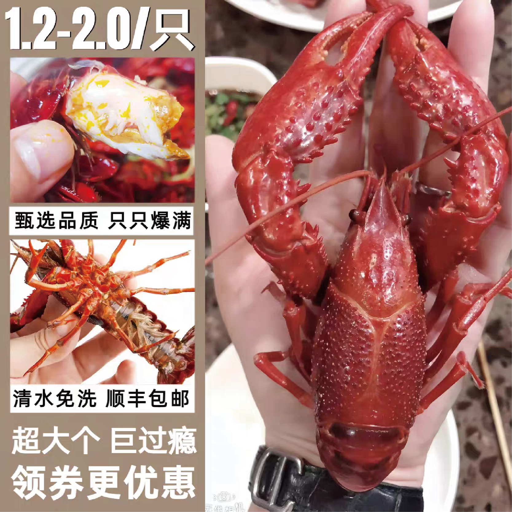 骆马湖清水生态养殖鲜活小龙虾 特大炮头背部红亮肉质饱满鲜嫩满