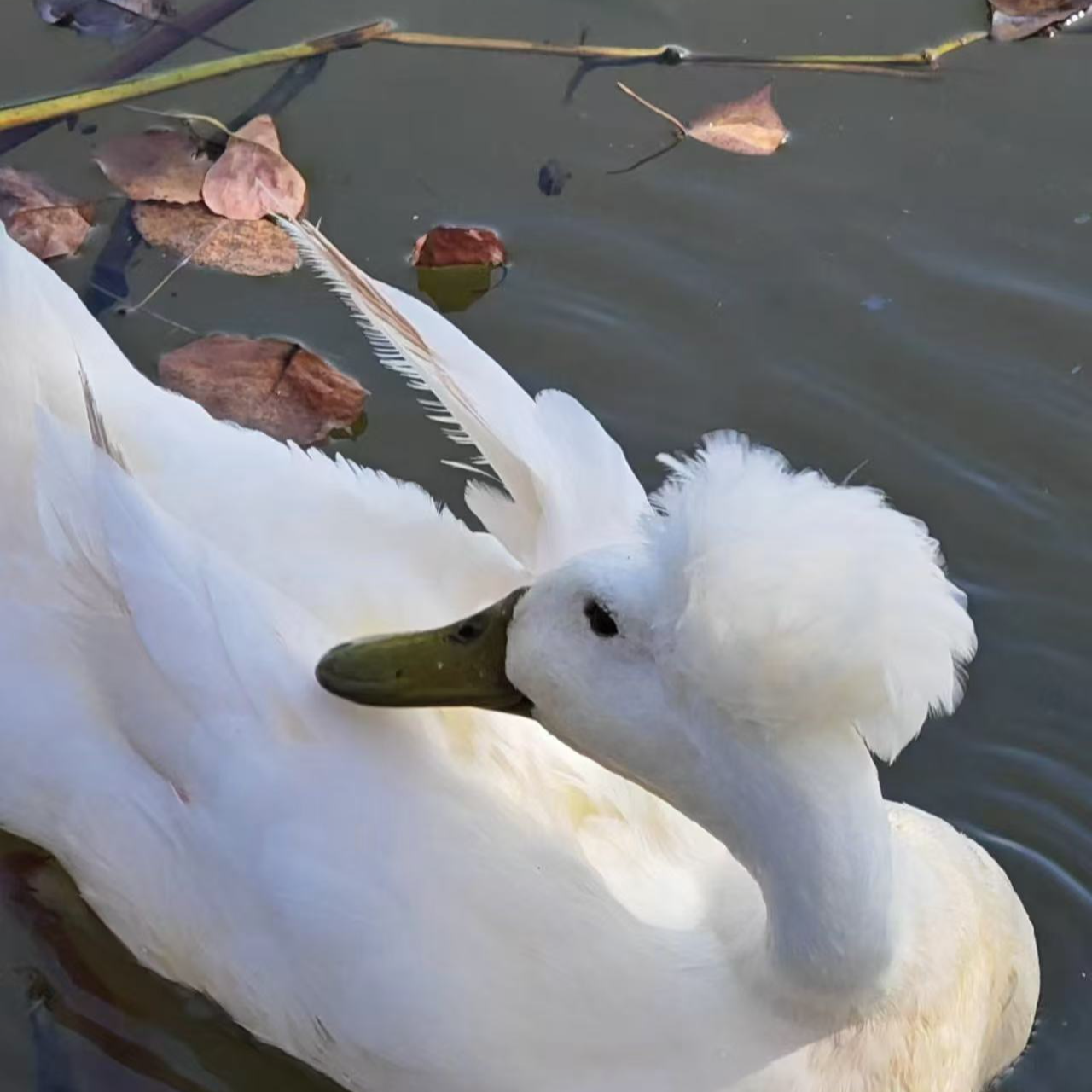 到手2只包邮包路损