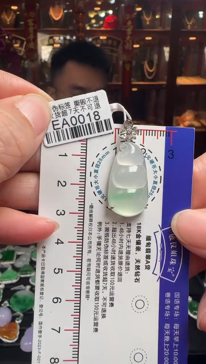 【闪购商品】翡翠颈饰18K金镶嵌EA0018富贵豆