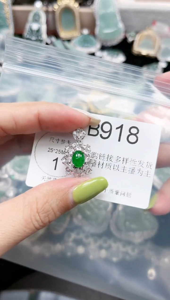 【闪购商品】翡翠颈饰未镶嵌赠皮绳918