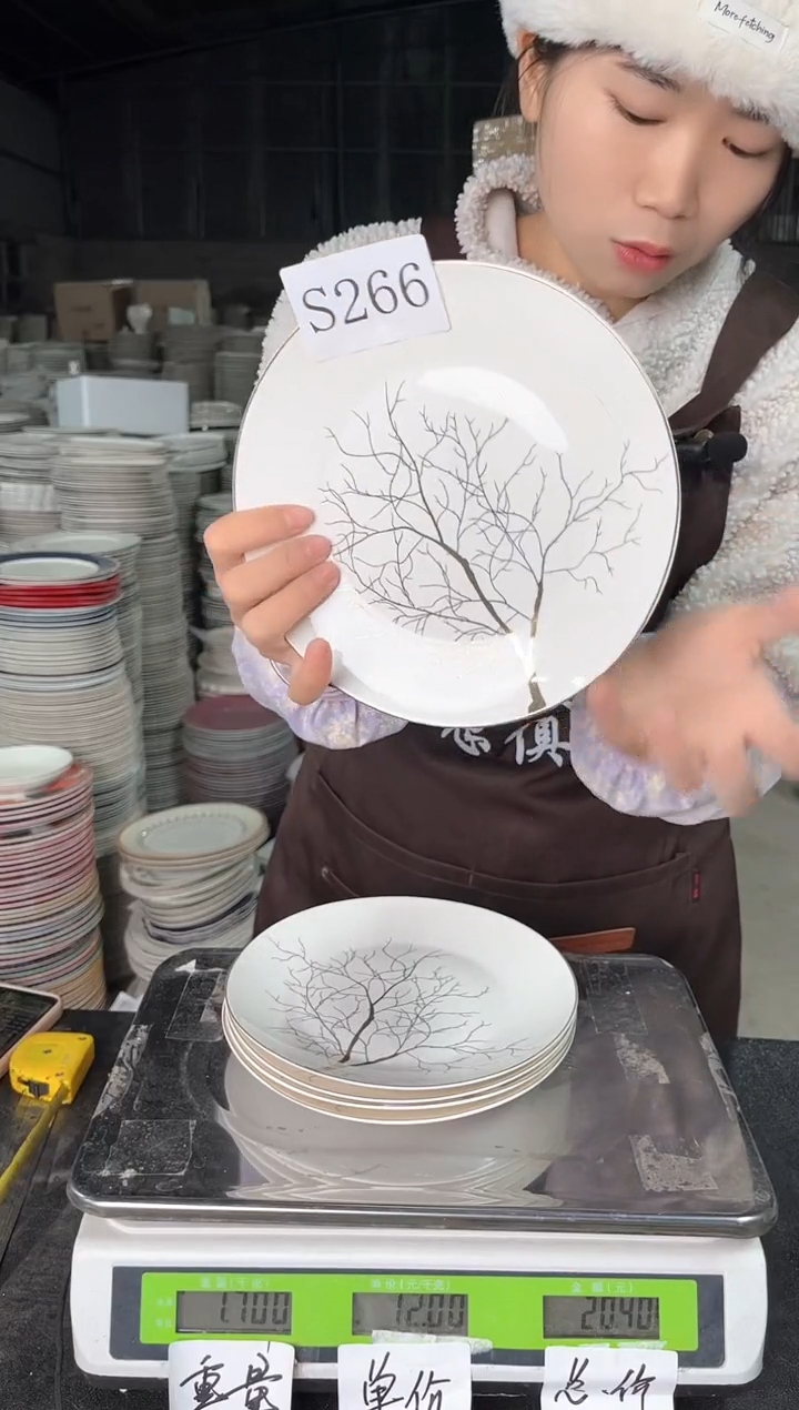 【闪购商品】瓷S266  8寸  5个