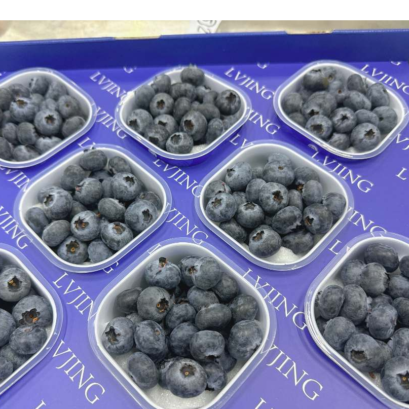 礼盒装 伴手礼云南花香蓝莓 抚仙湖新鲜蓝莓基地直发 
