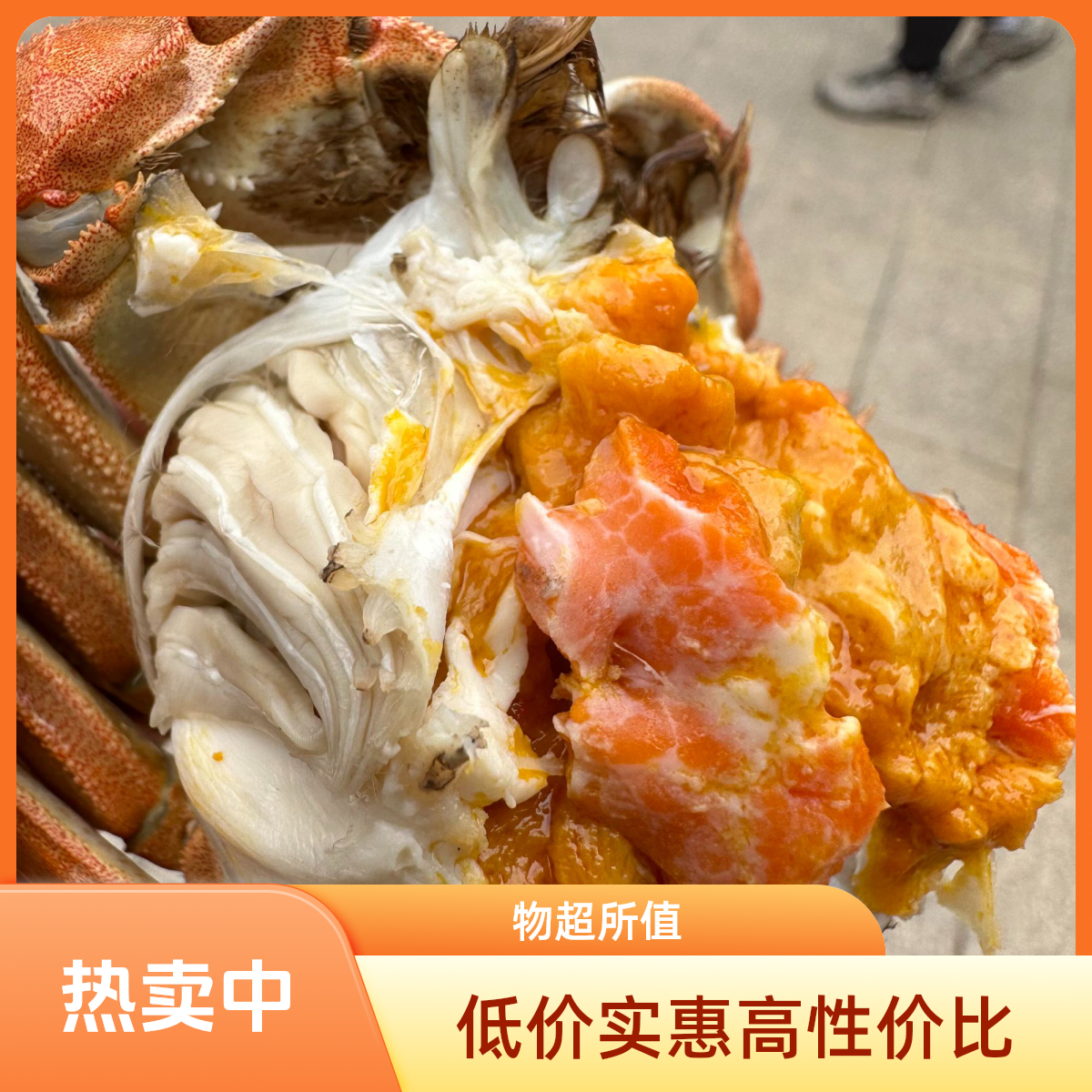 鲜活【精品大母蟹买6送2公到手共8只】3.2-3.5两送货到家约1000克